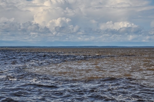 Fabio's LifeTour - Brazil (2015 April-June and October) - Manaus - Amazon Jungle - Encontro de Agua - 11565 cover