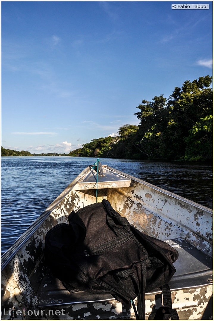 Fabio's LifeTour - Brazil (2015 April-June and October) - Manaus - Amazon Jungle - Piranha fishing - 10479