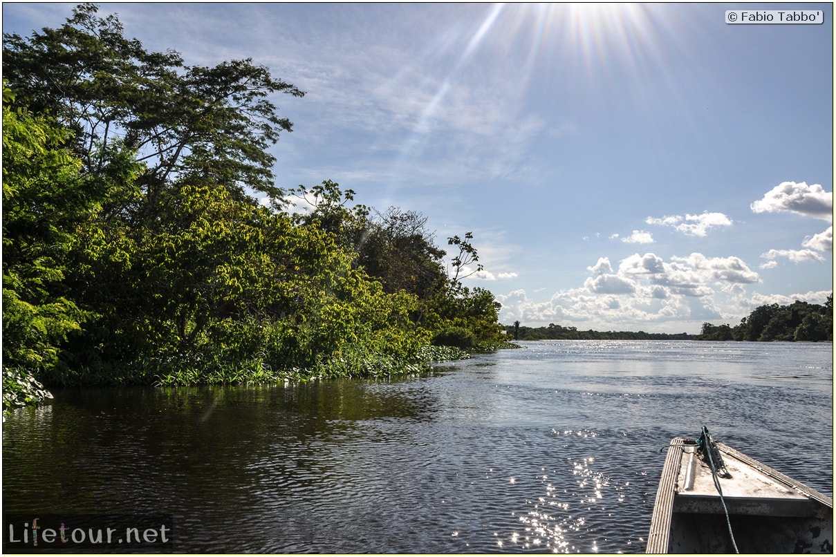 Fabio's LifeTour - Brazil (2015 April-June and October) - Manaus - Amazon Jungle - Piranha fishing - 8768