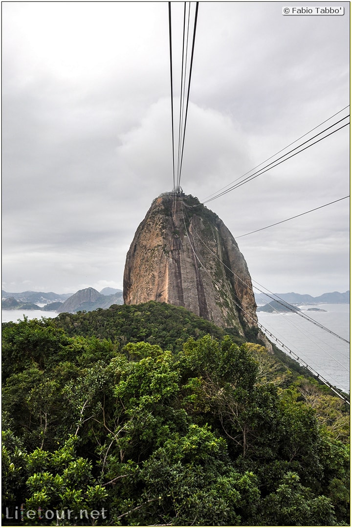 Brazil (2015) - Rio De Janeiro - Trilha Do P¦o De Açúcar - 4- on top of the mountain - 8530