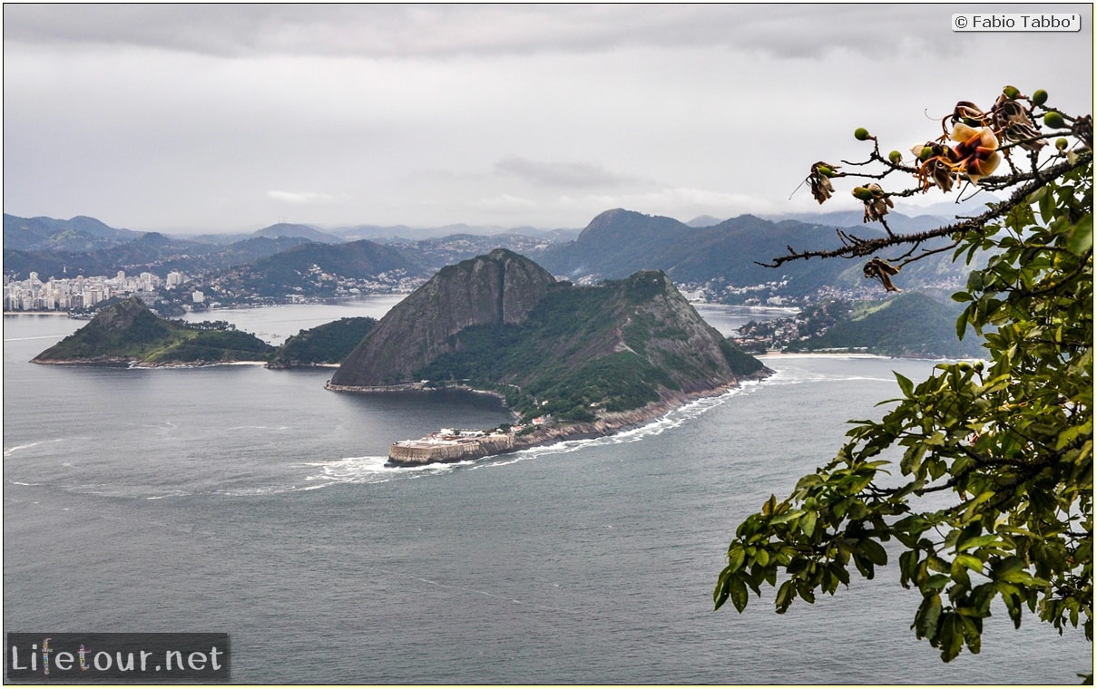 Brazil (2015) - Rio De Janeiro - Trilha Do P¦o De Açúcar - 4- on top of the mountain - 9550