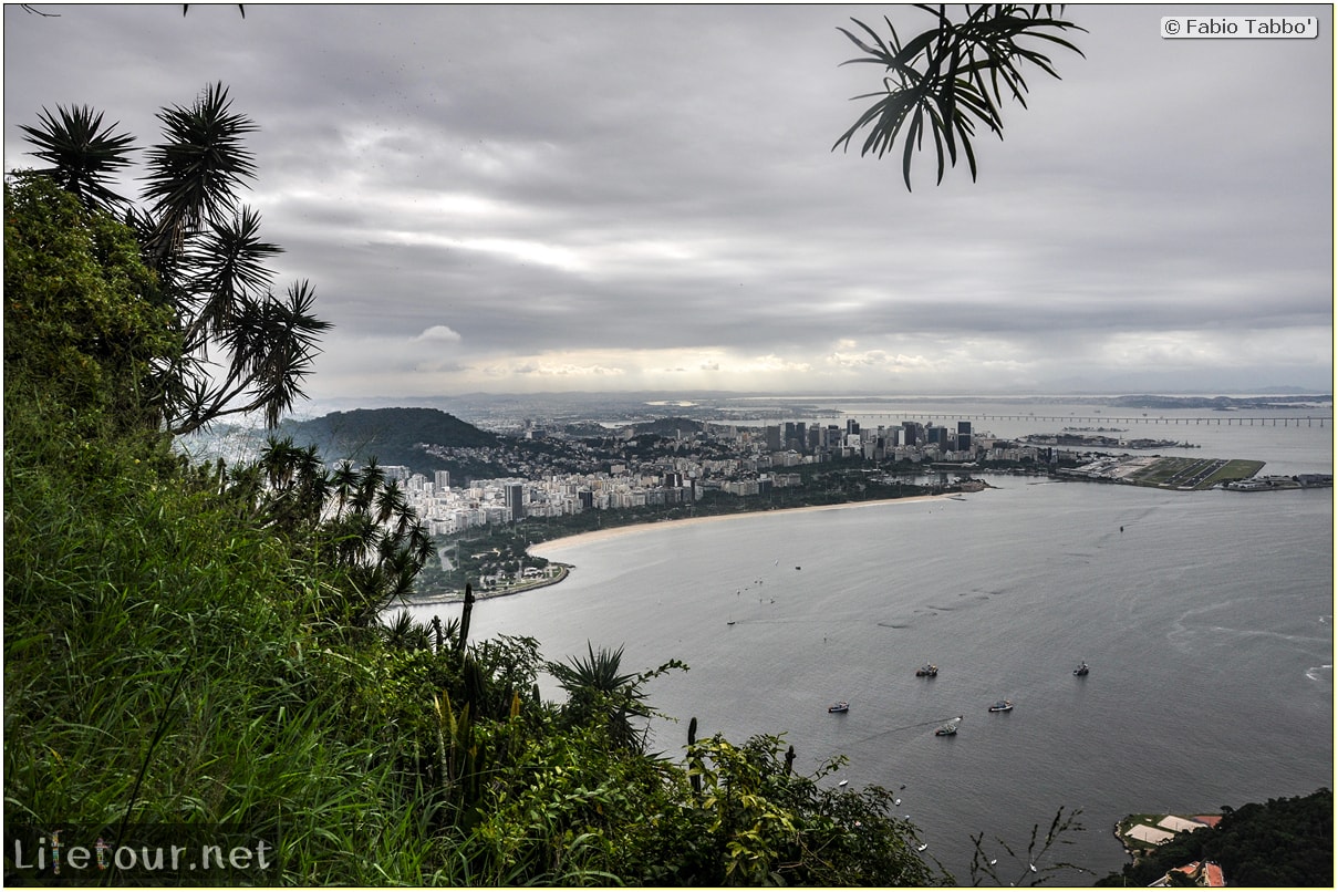 Brazil (2015) - Rio De Janeiro - Trilha Do P¦o De Açúcar - 4- on top of the mountain - 9599