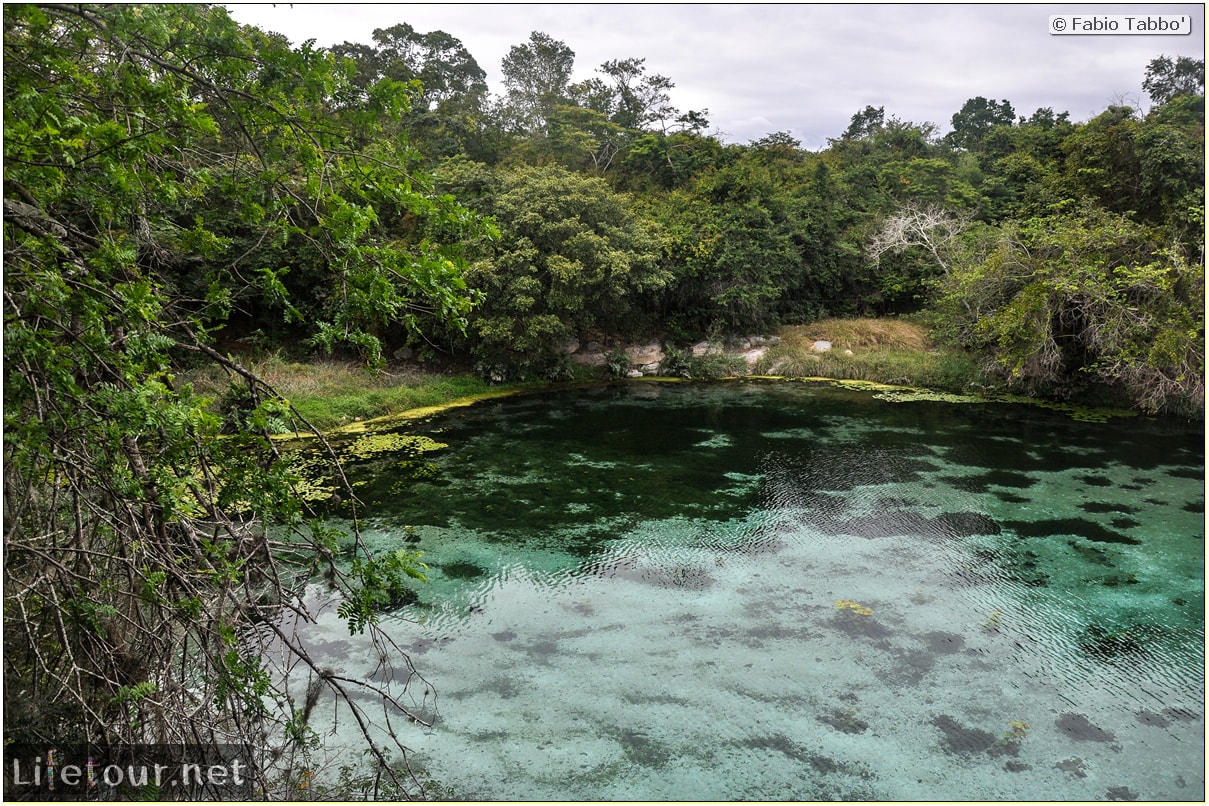 Fabio's LifeTour - Brazil (2015 April-June and October) - Chapada Diamantina - National Park - 3- Pratinha Grotto and lagoon - 9170