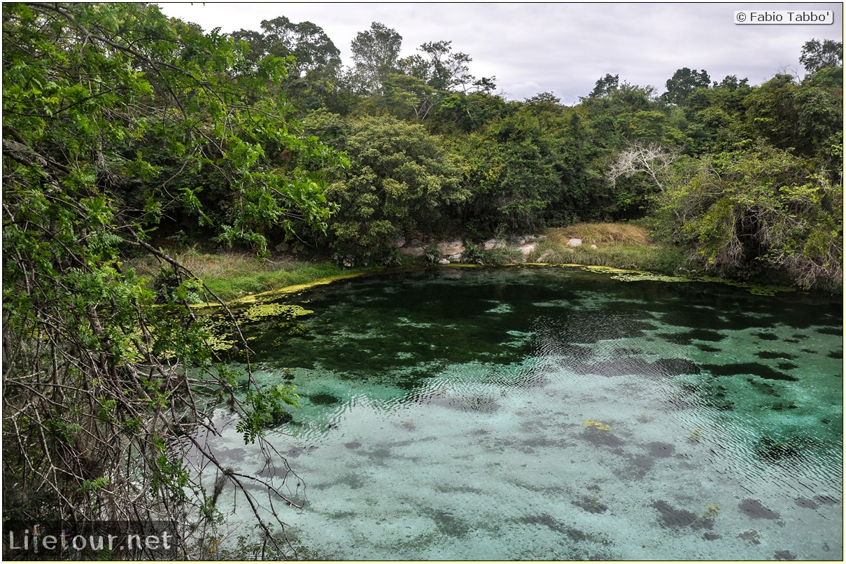 Fabio's LifeTour - Brazil (2015 April-June and October) - Chapada Diamantina - National Park - 3- Pratinha Grotto and lagoon - 9170