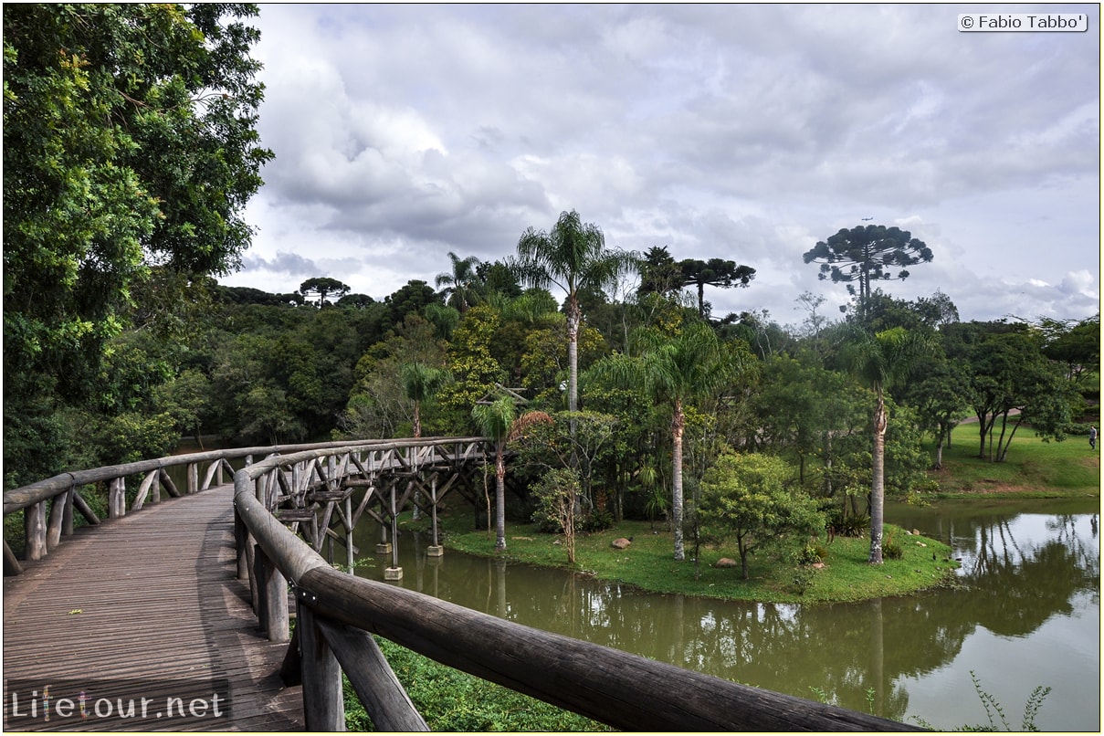 Fabio's LifeTour - Brazil (2015 April-June and October) - Curitiba - Botanical garden - 2065