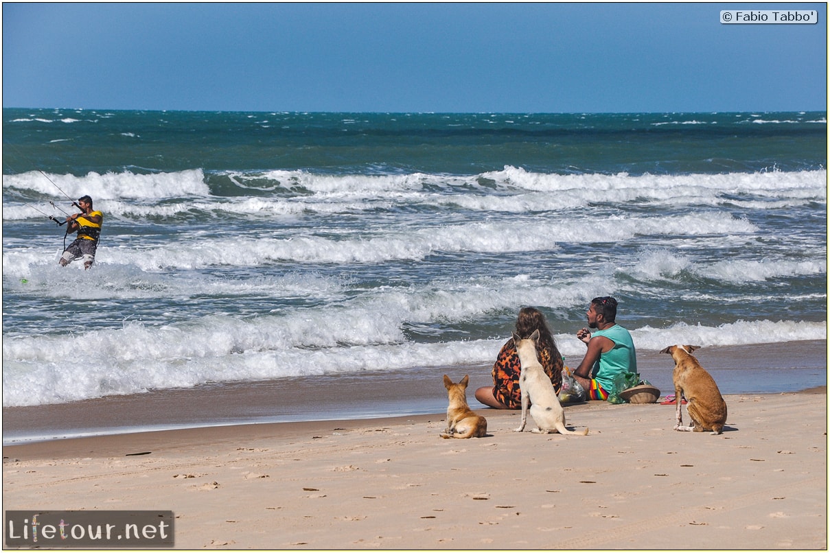 Fabio's LifeTour - Brazil (2015 April-June and October) - Fortaleza - Canoa Quebrada - 7739