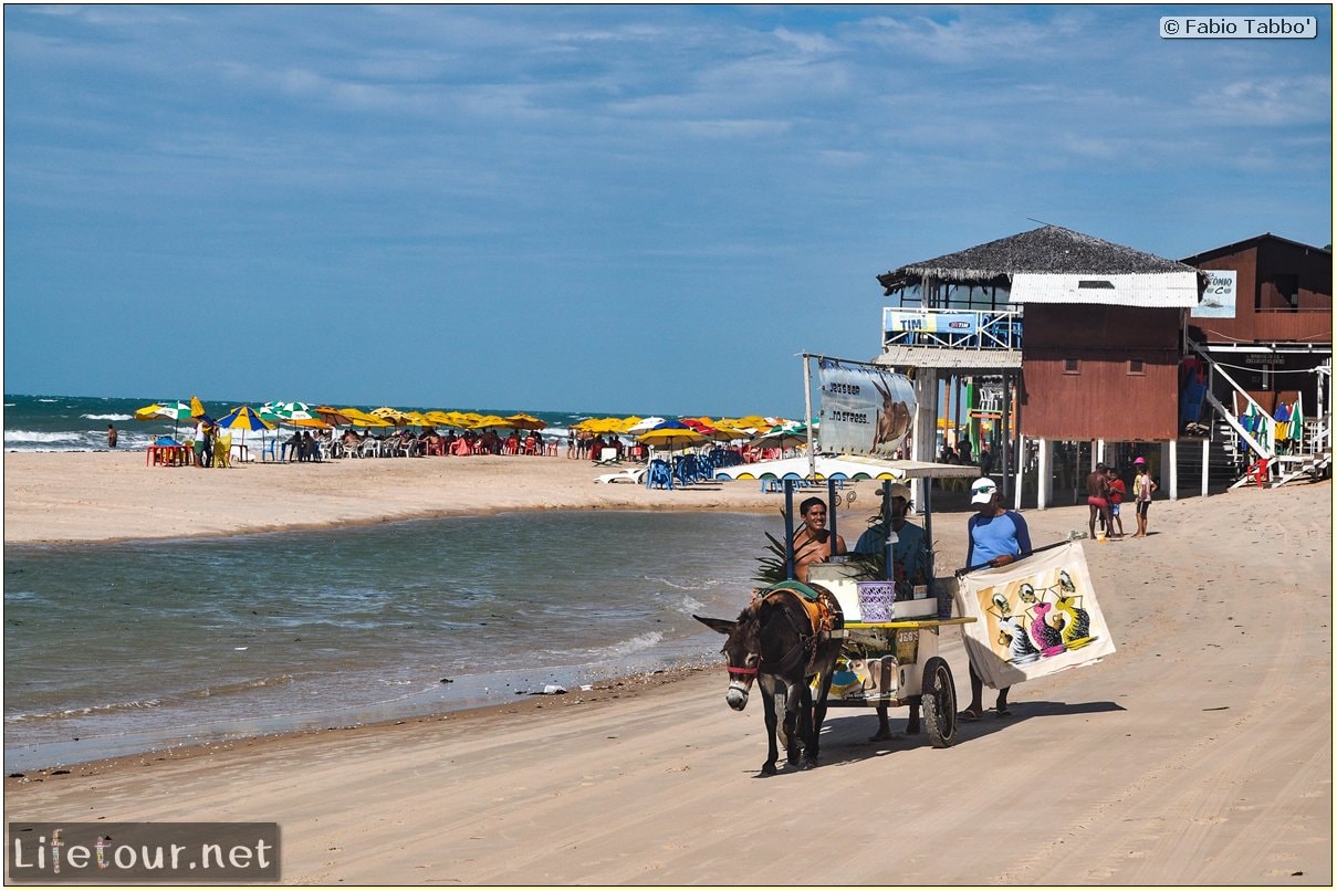 Fabio's LifeTour - Brazil (2015 April-June and October) - Fortaleza - Canoa Quebrada - 7880