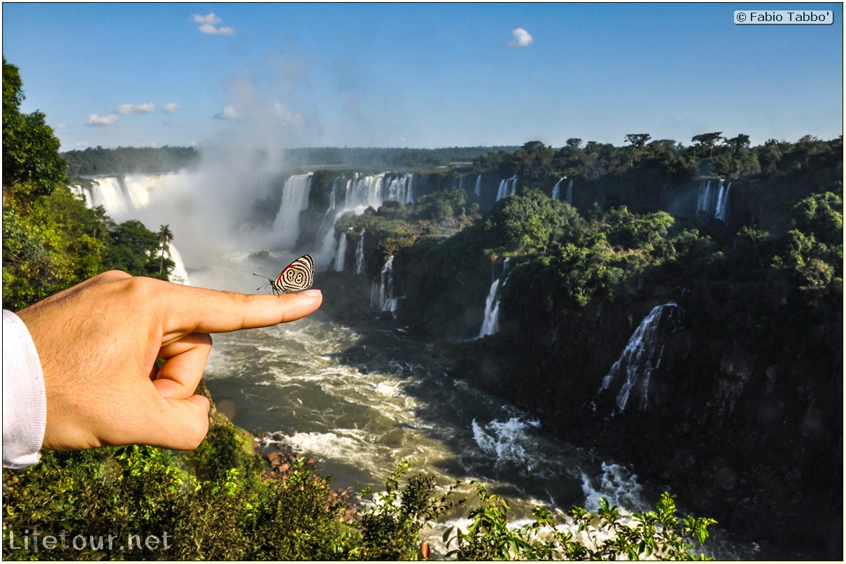 Fabio's LifeTour - Brazil (2015 April-June and October) - Iguazu falls - The butterflies - 6491 cover