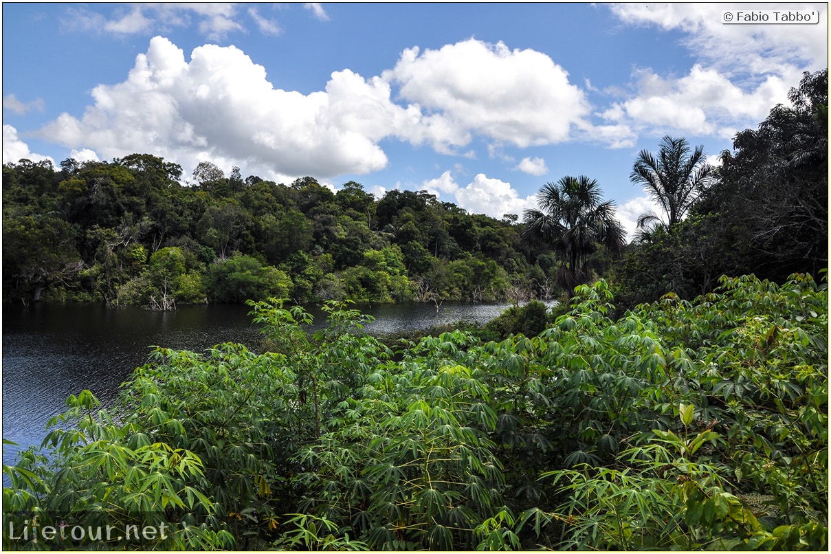 Fabio's LifeTour - Brazil (2015 April-June and October) - Manaus - Amazon Jungle - Cruising the Amazon river- other pictures - 10264