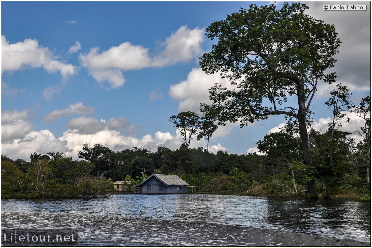 Fabio's LifeTour - Brazil (2015 April-June and October) - Manaus - Amazon Jungle - Cruising the Amazon river- other pictures - 10534