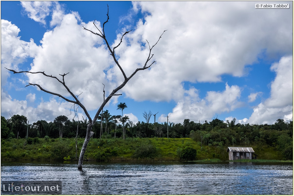 Fabio's LifeTour - Brazil (2015 April-June and October) - Manaus - Amazon Jungle - Cruising the Amazon river- other pictures - 10565