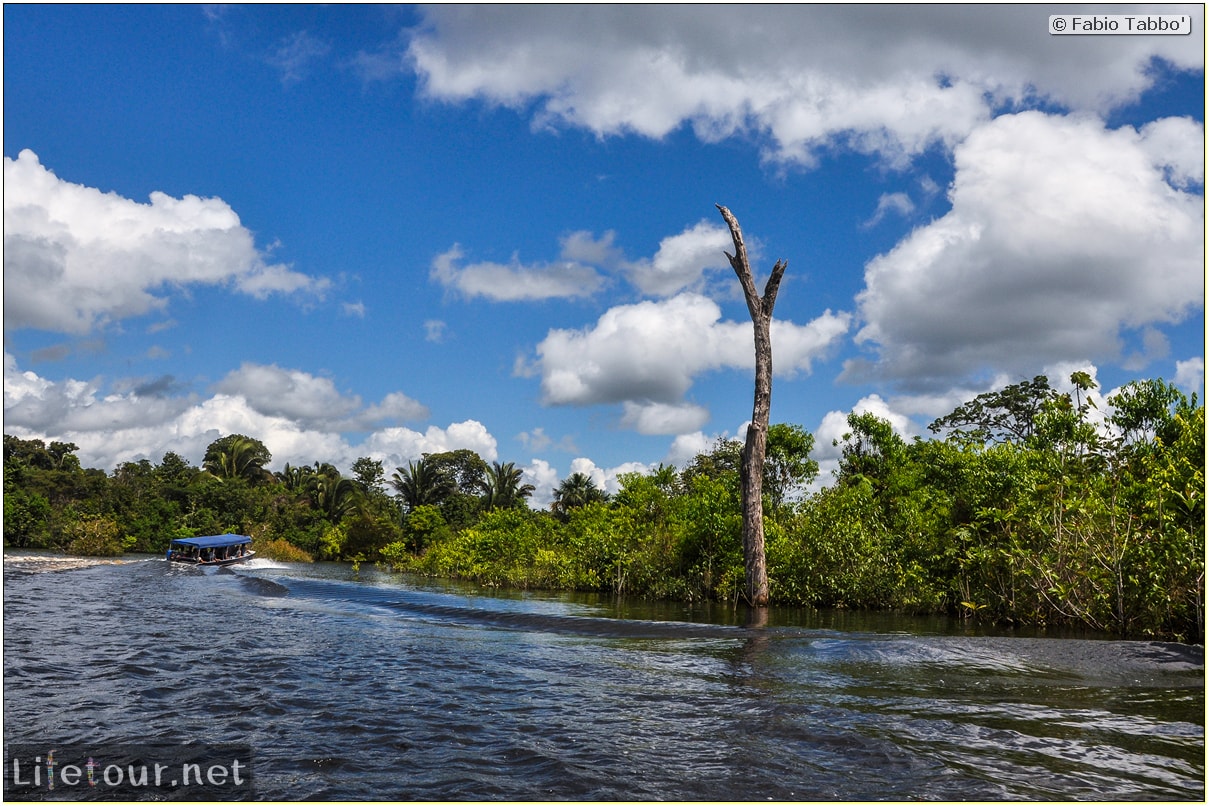 Fabio's LifeTour - Brazil (2015 April-June and October) - Manaus - Amazon Jungle - Cruising the Amazon river- other pictures - 10592 cover