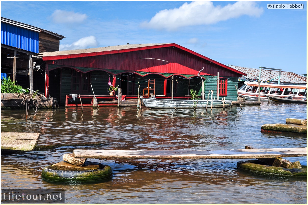 Fabio's LifeTour - Brazil (2015 April-June and October) - Manaus - Amazon Jungle - Cruising the Amazon river- other pictures - 9407