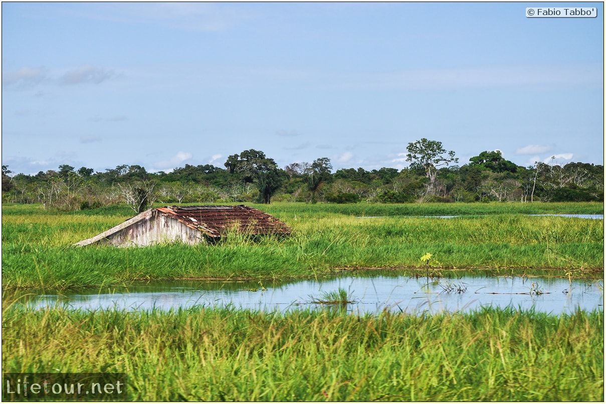 Fabio's LifeTour - Brazil (2015 April-June and October) - Manaus - Amazon Jungle - Cruising the Amazon river- other pictures - 9717 cover