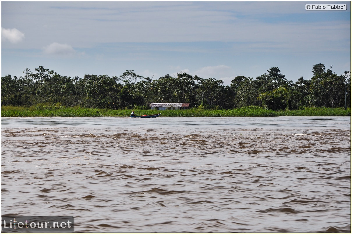 Fabio's LifeTour - Brazil (2015 April-June and October) - Manaus - Amazon Jungle - Driving a motorboat on the Amazon river - 9121