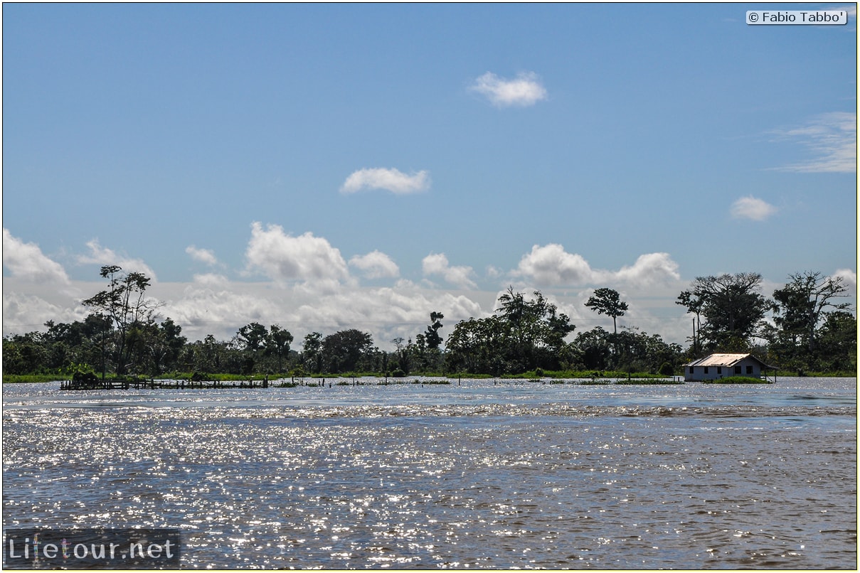 Fabio's LifeTour - Brazil (2015 April-June and October) - Manaus - Amazon Jungle - Driving a motorboat on the Amazon river - 9168