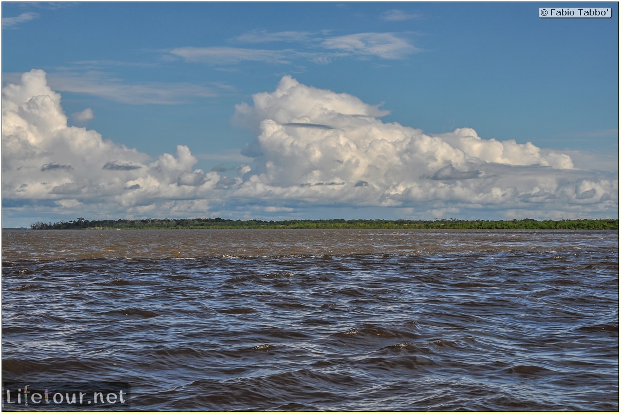 Fabio's LifeTour - Brazil (2015 April-June and October) - Manaus - Amazon Jungle - Encontro de Agua - 11640