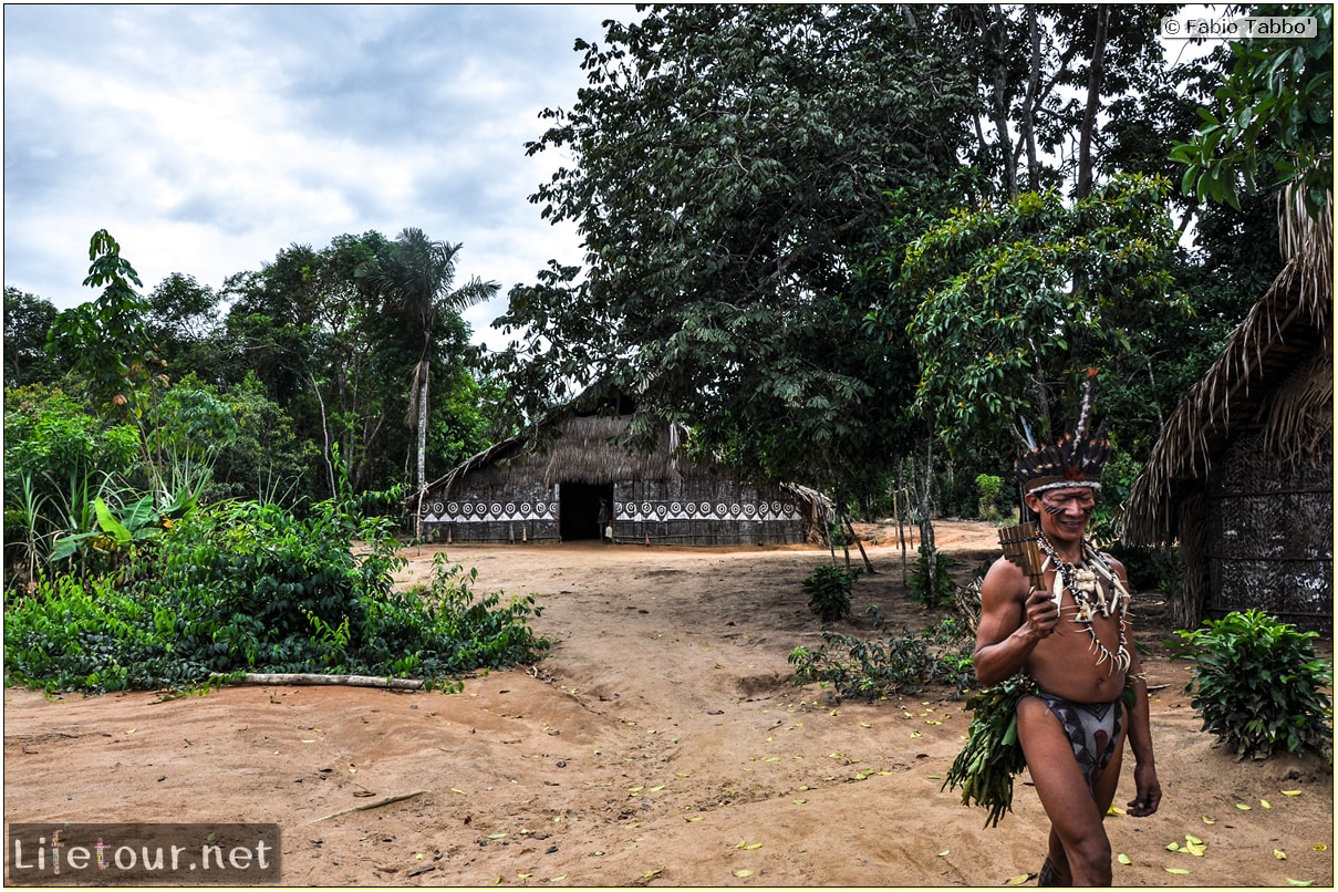 Fabio's LifeTour - Brazil (2015 April-June and October) - Manaus - Amazon Jungle - Indios village - 1- The village - 9385 cover