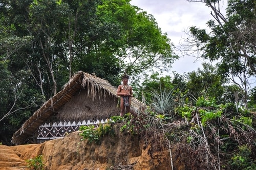 Fabio's LifeTour - Brazil (2015 April-June and October) - Manaus - Amazon Jungle - Indios village - 1- The village - 9672 cover