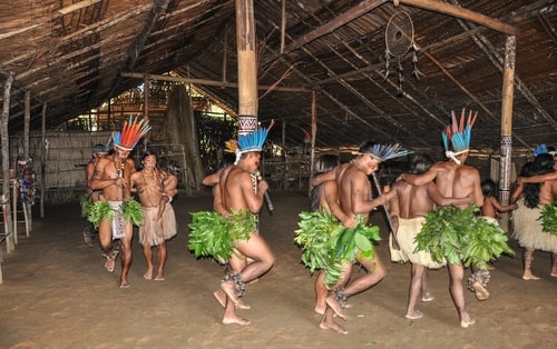 Fabio's LifeTour - Brazil (2015 April-June and October) - Manaus - Amazon Jungle - Indios village - 2- ceremonial dancing - 8282 cover