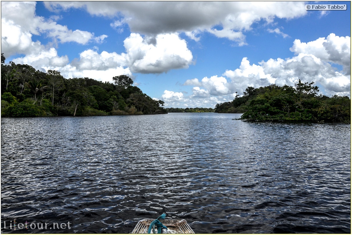 Fabio's LifeTour - Brazil (2015 April-June and October) - Manaus - Amazon Jungle - Jungle trekking - 1-boat trip - 10467