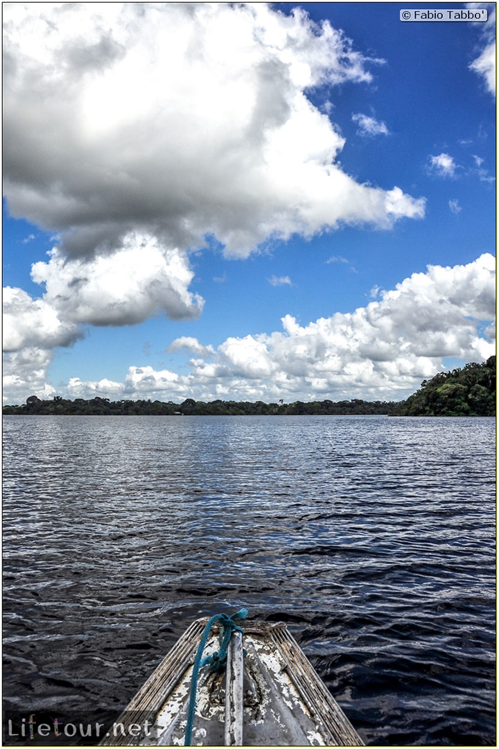 Fabio's LifeTour - Brazil (2015 April-June and October) - Manaus - Amazon Jungle - Jungle trekking - 1-boat trip - 10499