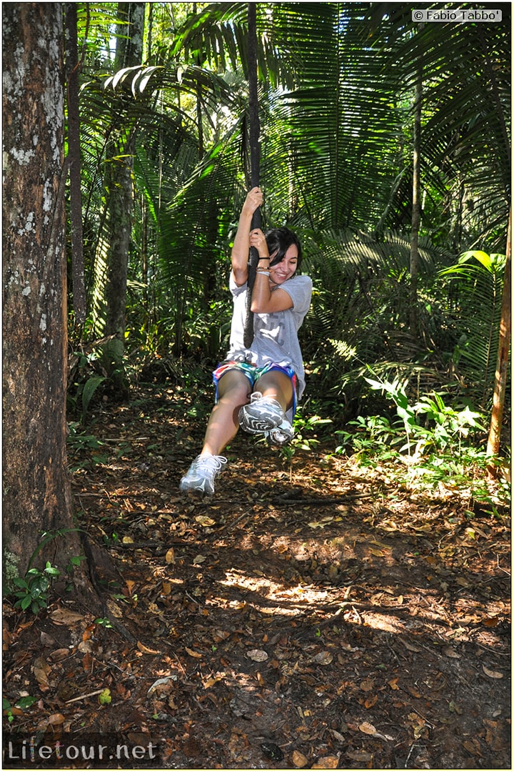 Fabio's LifeTour - Brazil (2015 April-June and October) - Manaus - Amazon Jungle - Jungle trekking - 4- Tarzan swinging - 9553