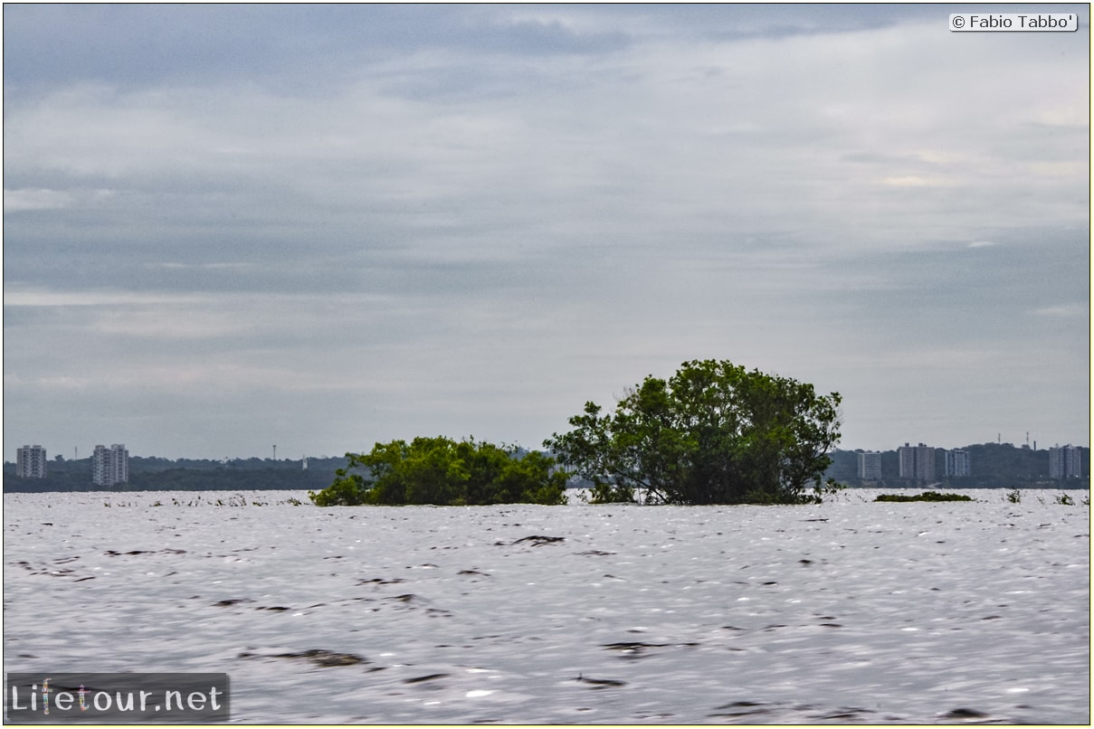 Fabio's LifeTour - Brazil (2015 April-June and October) - Manaus - Amazon Jungle - Manaus bridge - 3032