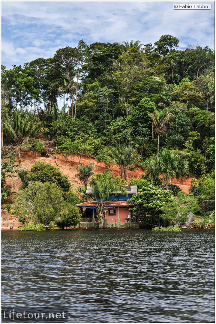 Fabio's LifeTour - Brazil (2015 April-June and October) - Manaus - Amazon Jungle - Parque do Janauary - 1-trip (Rio Solimoes) - 10045