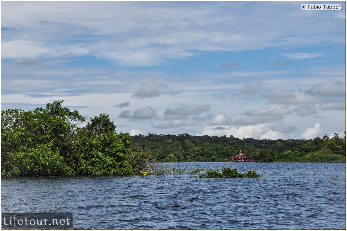 Fabio's LifeTour - Brazil (2015 April-June and October) - Manaus - Amazon Jungle - Parque do Janauary - 1-trip (Rio Solimoes) - 10067