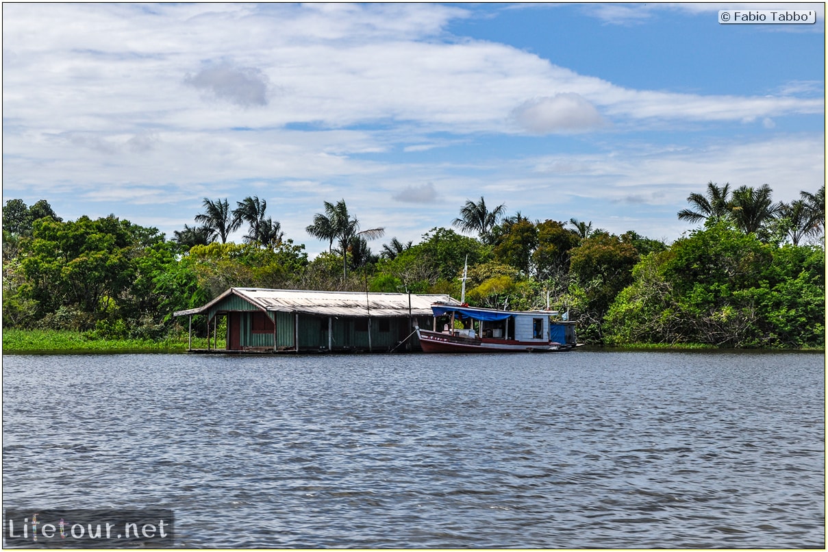 Fabio's LifeTour - Brazil (2015 April-June and October) - Manaus - Amazon Jungle - Parque do Janauary - 1-trip (Rio Solimoes) - 10314