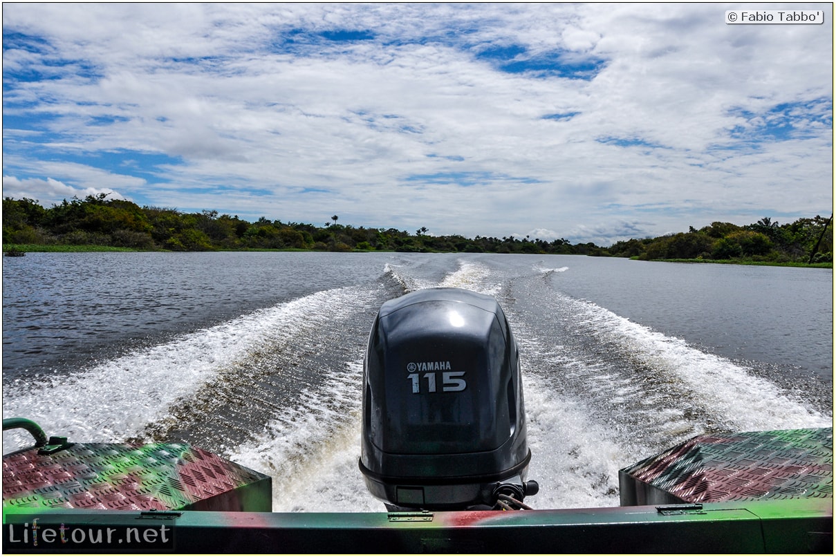 Fabio's LifeTour - Brazil (2015 April-June and October) - Manaus - Amazon Jungle - Parque do Janauary - 1-trip (Rio Solimoes) - 10354
