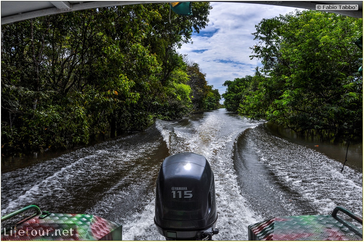 Fabio's LifeTour - Brazil (2015 April-June and October) - Manaus - Amazon Jungle - Parque do Janauary - 1-trip (Rio Solimoes) - 10408 cover