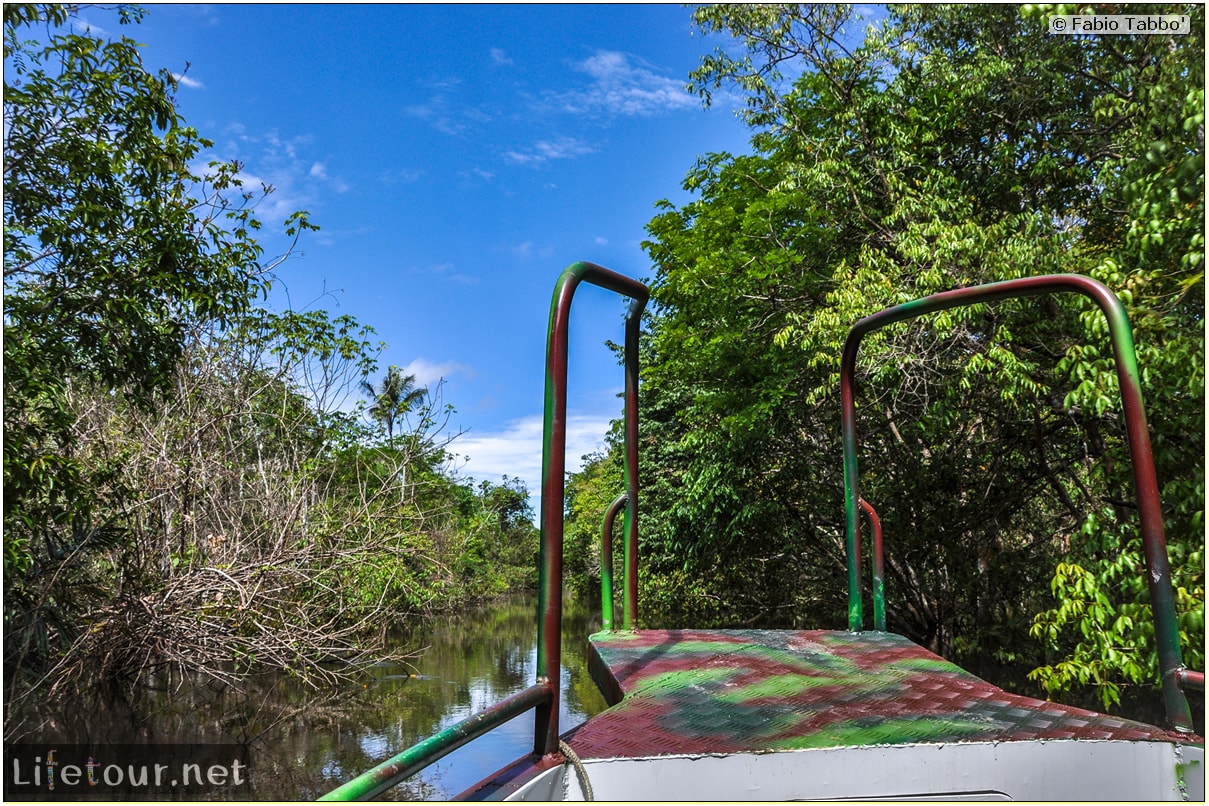 Fabio's LifeTour - Brazil (2015 April-June and October) - Manaus - Amazon Jungle - Parque do Janauary - 1-trip (Rio Solimoes) - 10436