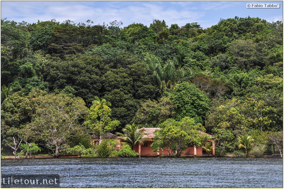 Fabio's LifeTour - Brazil (2015 April-June and October) - Manaus - Amazon Jungle - Parque do Janauary - 1-trip (Rio Solimoes) - 9785