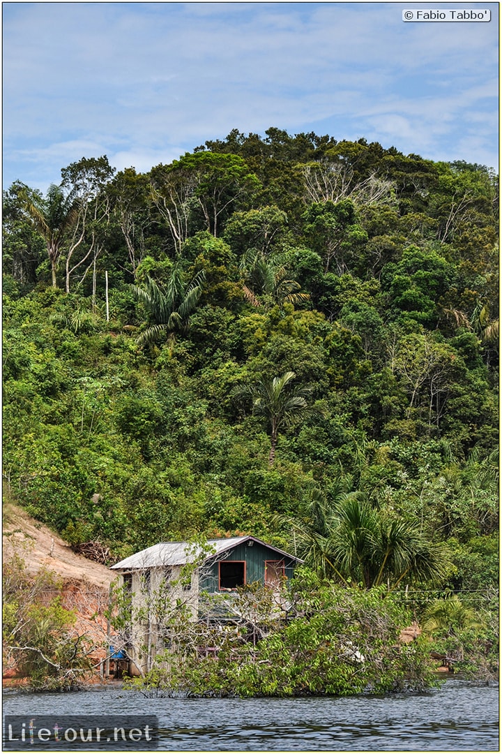 Fabio's LifeTour - Brazil (2015 April-June and October) - Manaus - Amazon Jungle - Parque do Janauary - 1-trip (Rio Solimoes) - 9964
