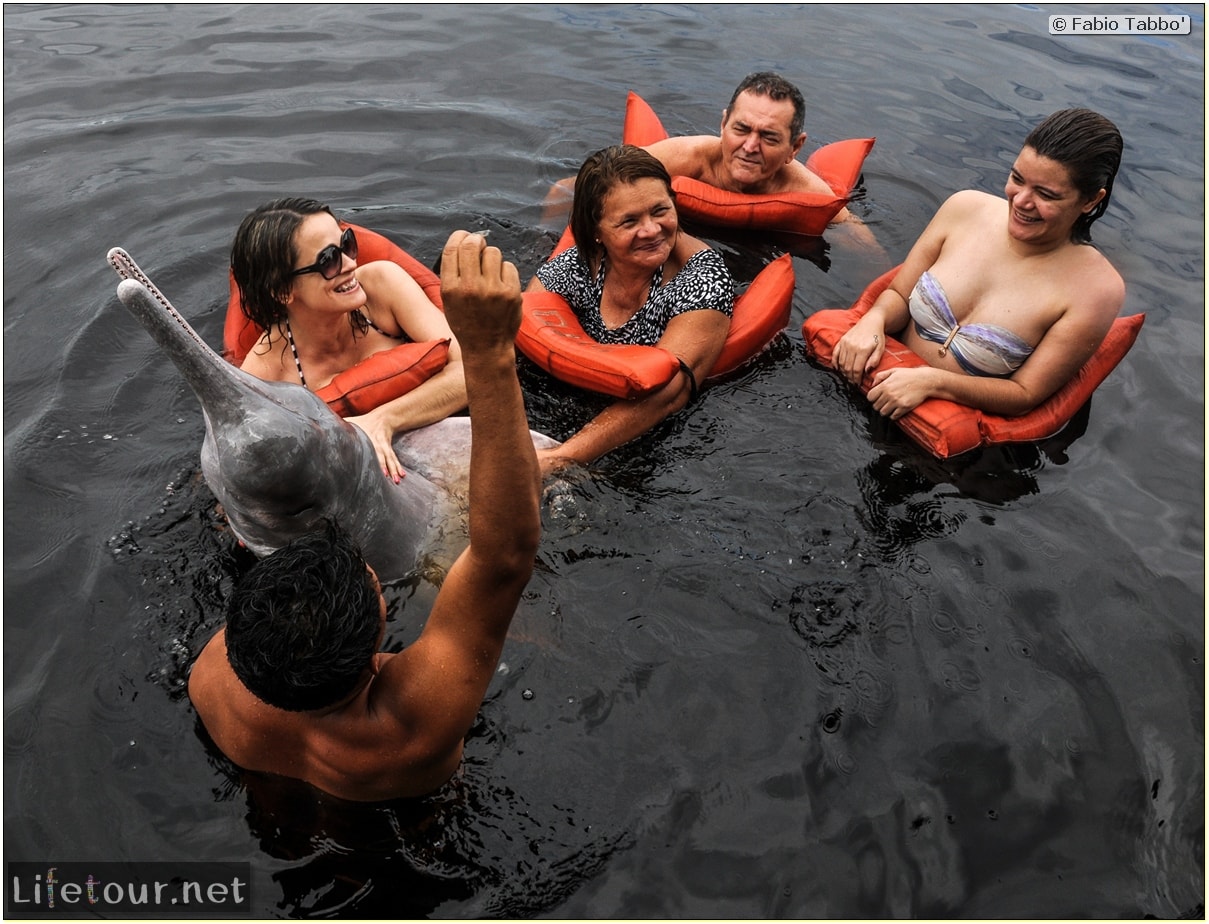 Fabio's LifeTour - Brazil (2015 April-June and October) - Manaus - Amazon Jungle - Pink dolphin petting (Botos encounter) - 4051