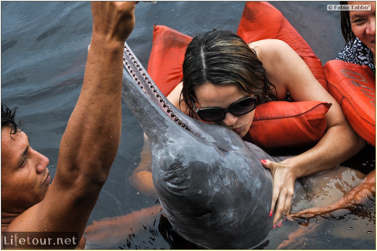 Fabio's LifeTour - Brazil (2015 April-June and October) - Manaus - Amazon Jungle - Pink dolphin petting (Botos encounter) - 4096 cover