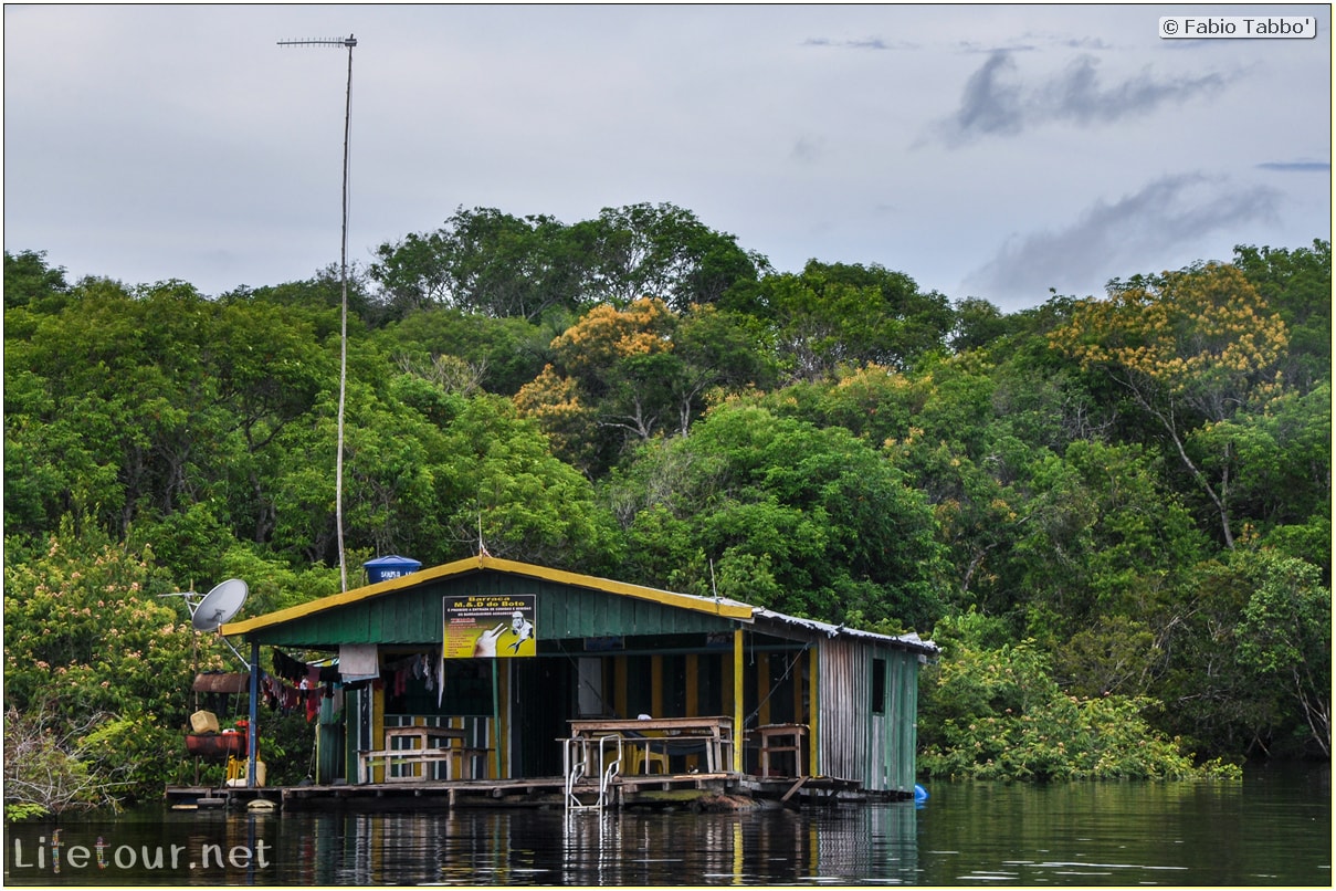 Fabio's LifeTour - Brazil (2015 April-June and October) - Manaus - Amazon Jungle - Pink dolphin petting (Botos encounter) - 4149