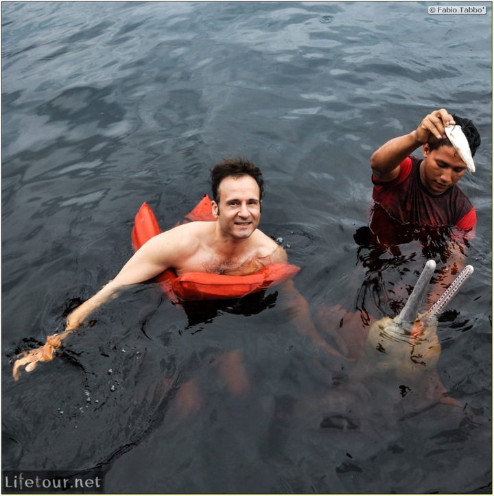 Fabio's LifeTour - Brazil (2015 April-June and October) - Manaus - Amazon Jungle - Pink dolphin petting (Botos encounter) - 5701