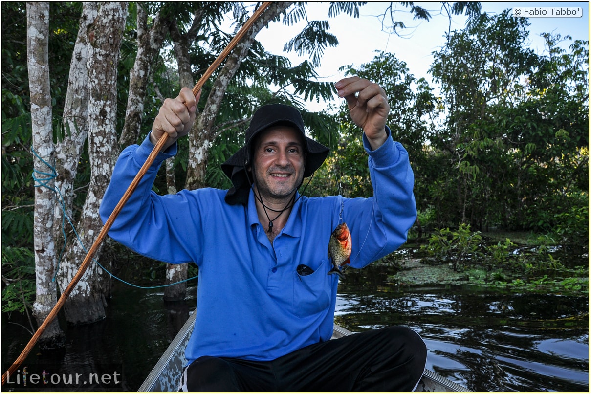 Fabio's LifeTour - Brazil (2015 April-June and October) - Manaus - Amazon Jungle - Piranha fishing - 10687