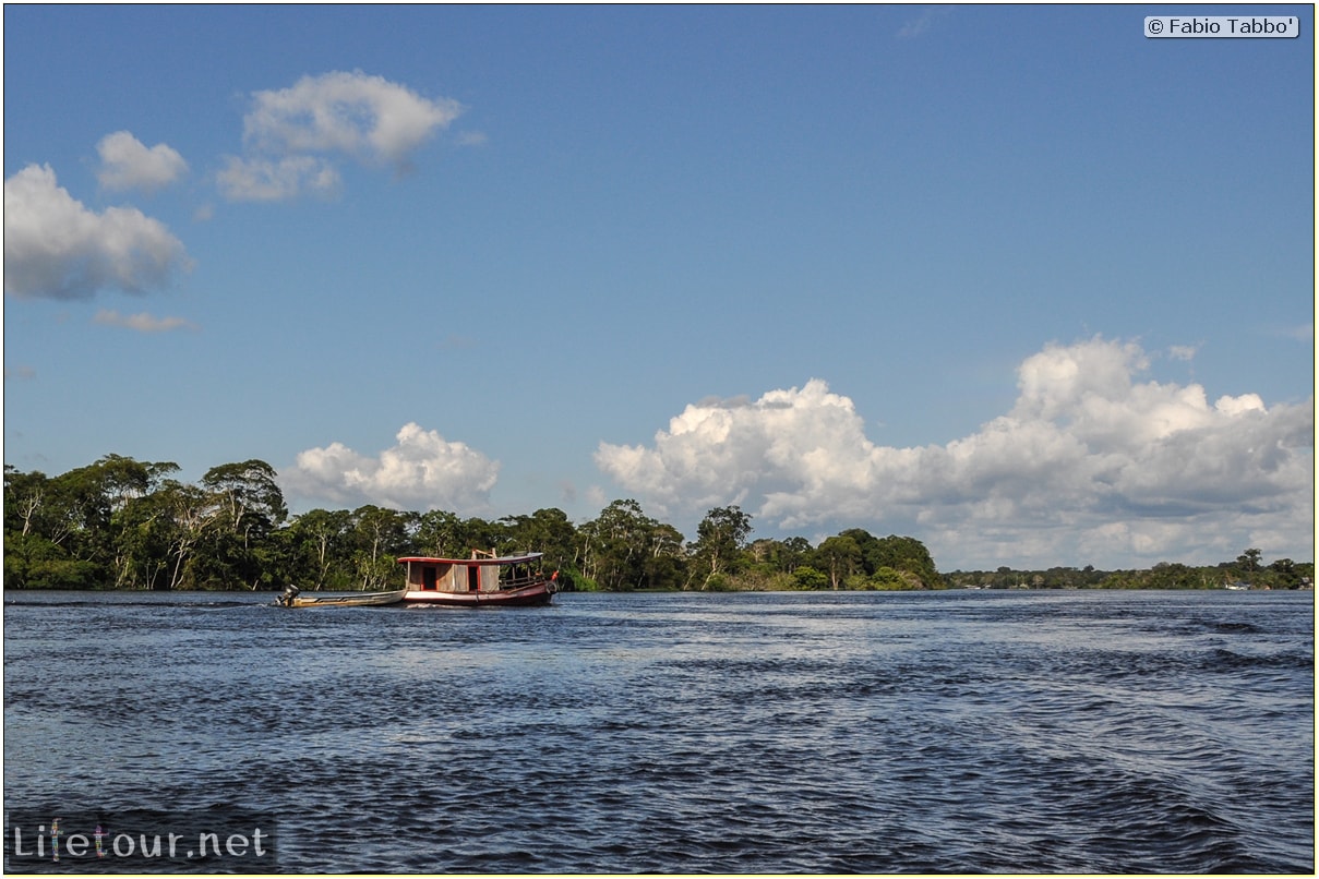 Fabio's LifeTour - Brazil (2015 April-June and October) - Manaus - Amazon Jungle - Piranha fishing - 8951