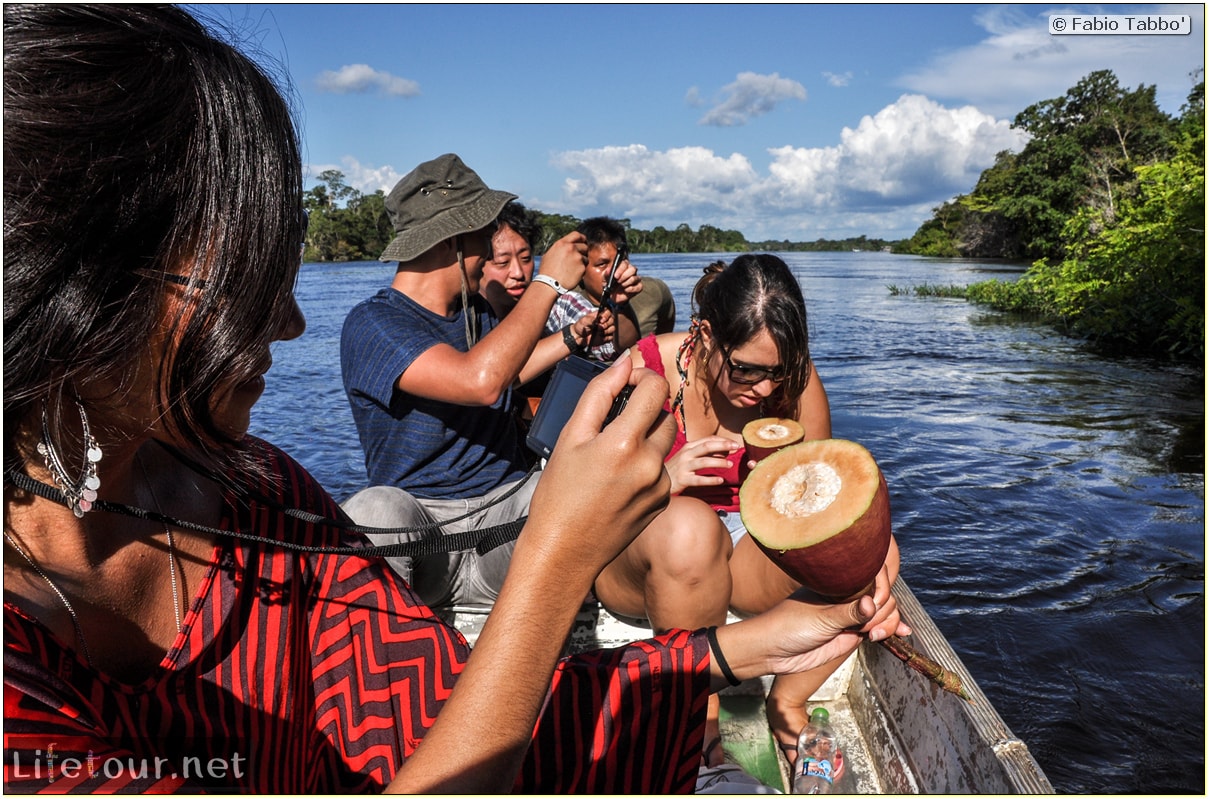 Fabio's LifeTour - Brazil (2015 April-June and October) - Manaus - Amazon Jungle - Piranha fishing - 9144