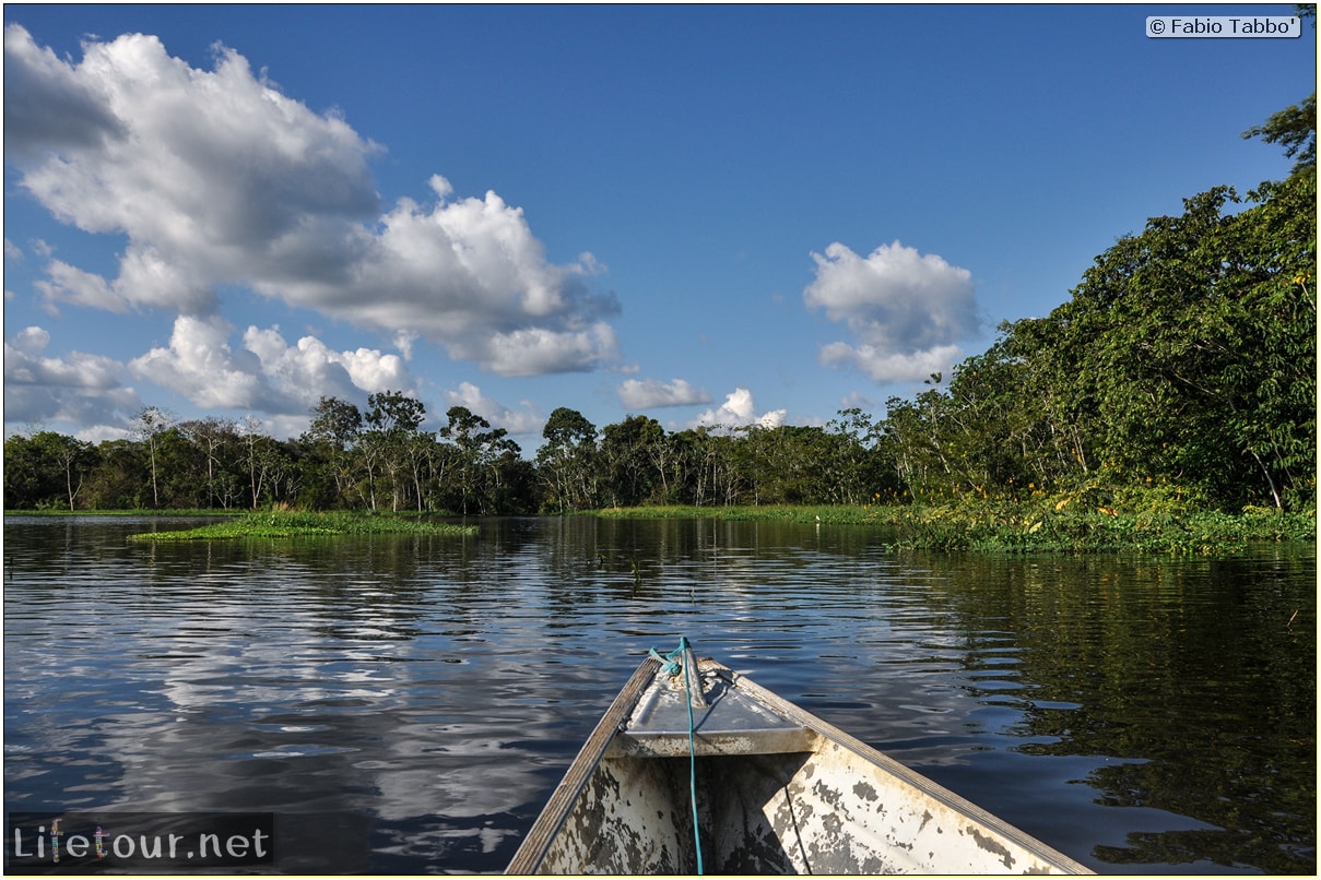 Fabio's LifeTour - Brazil (2015 April-June and October) - Manaus - Amazon Jungle - Piranha fishing - 9383
