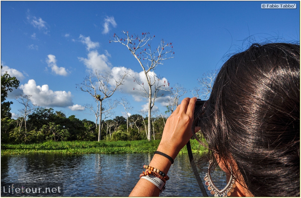 Fabio's LifeTour - Brazil (2015 April-June and October) - Manaus - Amazon Jungle - Piranha fishing - 9853 cover