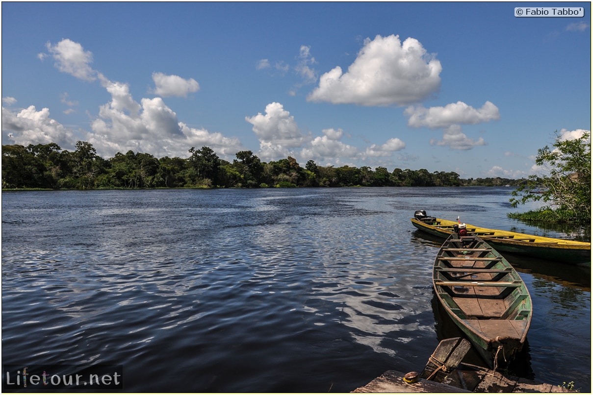 Fabio's LifeTour - Brazil (2015 April-June and October) - Manaus - Amazon Jungle - Sleeping in jungle lodge - 11100