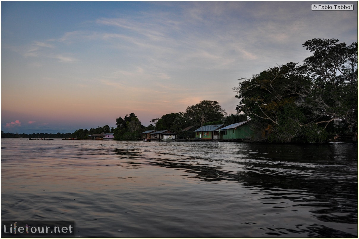 Fabio's LifeTour - Brazil (2015 April-June and October) - Manaus - Amazon Jungle - Sleeping in jungle lodge - 11130