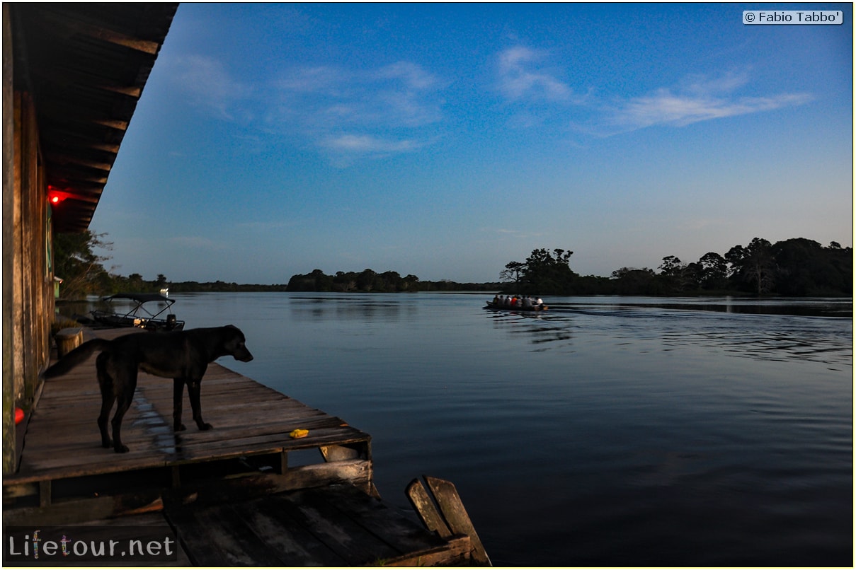 Fabio's LifeTour - Brazil (2015 April-June and October) - Manaus - Amazon Jungle - Sunrise on the Amazon - 9288 cover