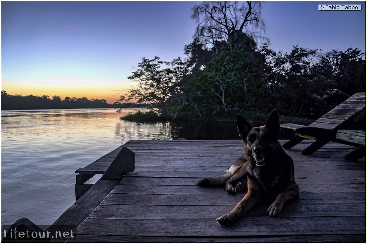 Fabio's LifeTour - Brazil (2015 April-June and October) - Manaus - Amazon Jungle - Sunrise on the Amazon - 9358 cover