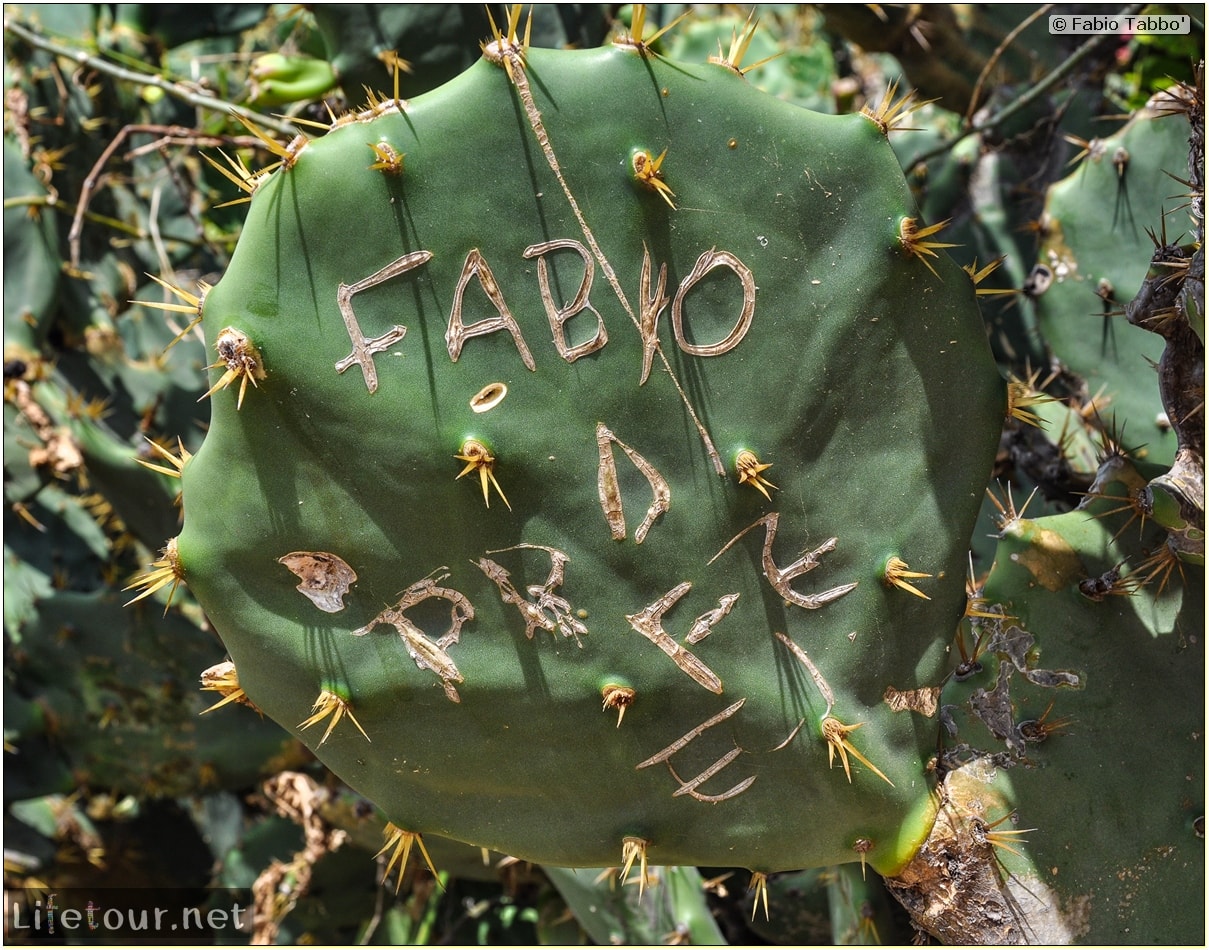 Fabio's LifeTour - Brazil (2015 April-June and October) - Morro Branco - City - 2828